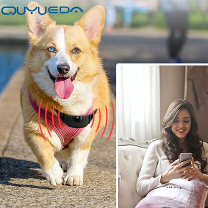 Waterproof 4G Pet GPS Tracker Dog GPS Tracking Collar Mini Anti-Lost Alarm Cat Locator Smart Tracking Device Long Standby SOS