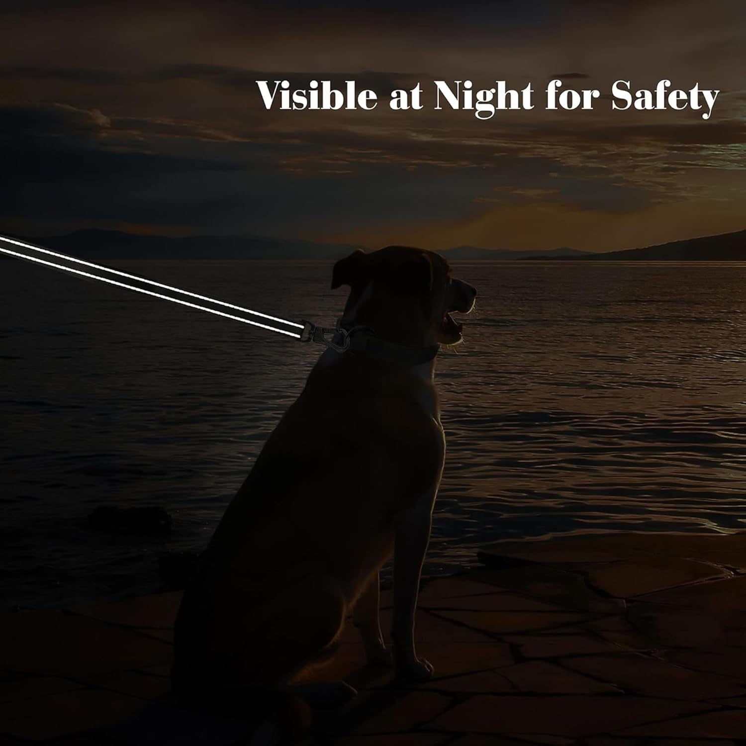 4FT Heavy Duty Dog Leash with Soft Padded Double Handle, Durable Strong Clasp Dog Leashes, Reflective Nylon Walking Lead for Large,Medium,Small Breed Dogs, Grey