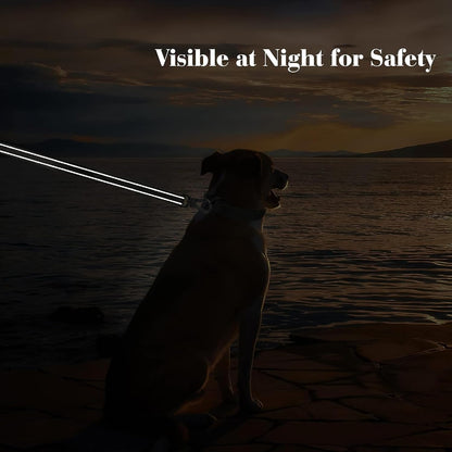 4FT Heavy Duty Dog Leash with Soft Padded Double Handle, Durable Strong Clasp Dog Leashes, Reflective Nylon Walking Lead for Large,Medium,Small Breed Dogs, Grey